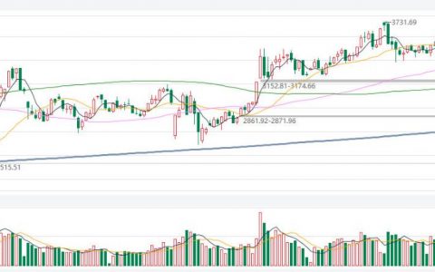 猪肉期货外盘价格